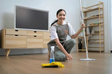 Housekeeping cleaners