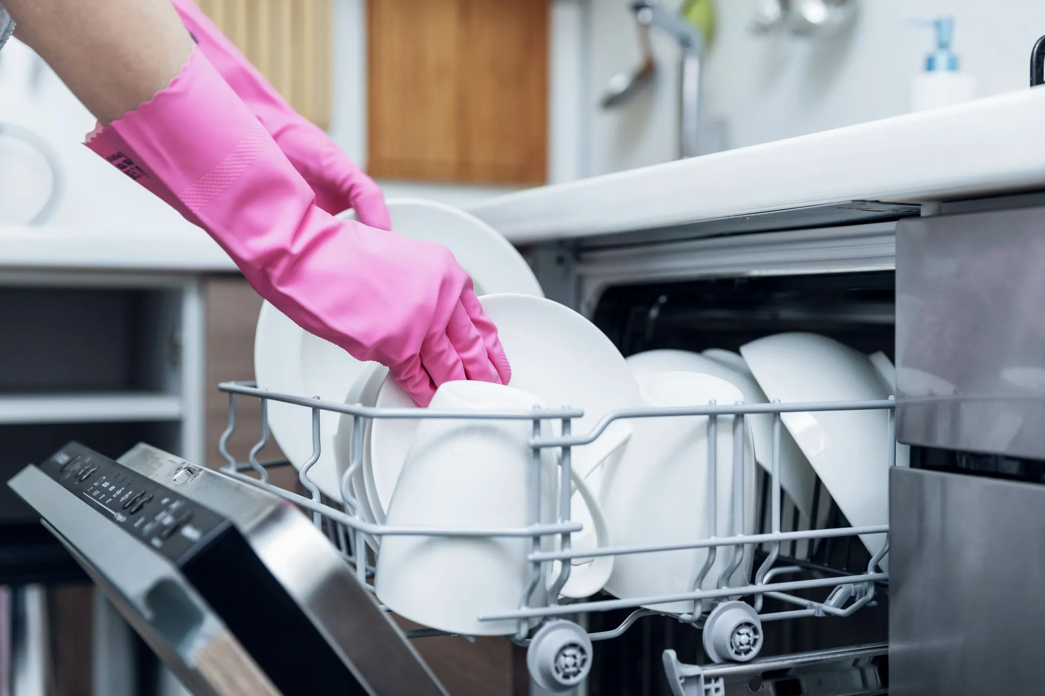 Cleaner and Dishwasher