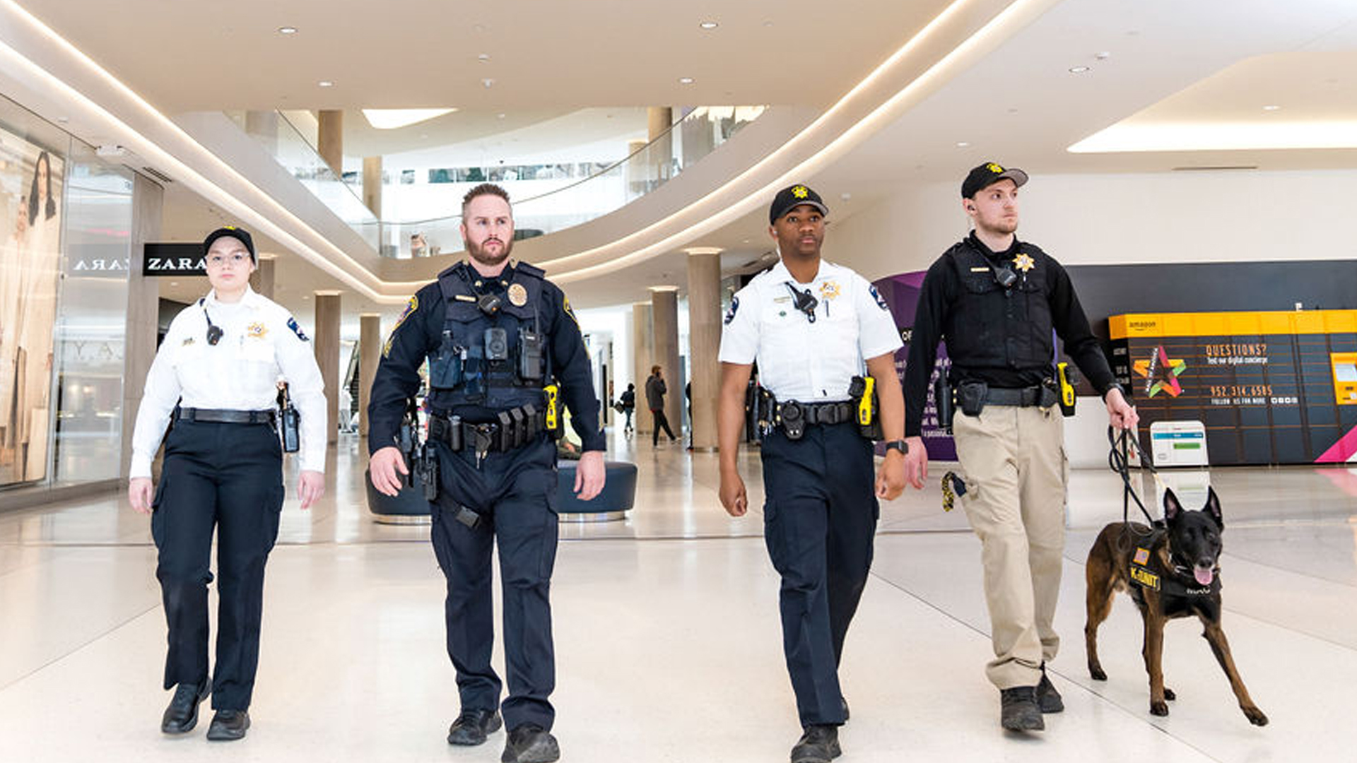 Mall Security Guard Jobs