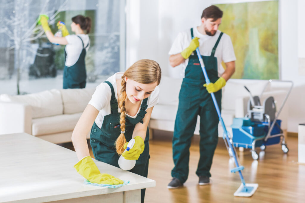 Cleaner for Hotel and Restaurants