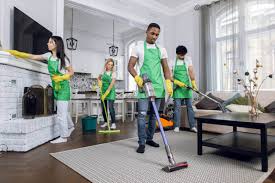 Cleaner