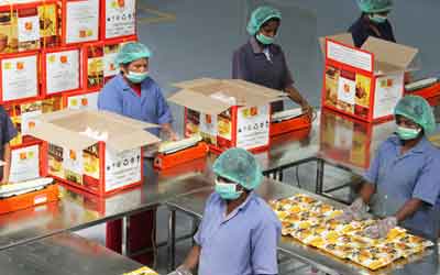 Food Packing Labour